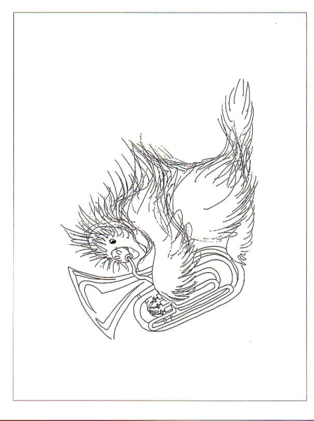 Tundra Tunes - (greeting cards blank inside, black ink) - drawings of Alaskan animals playing instruments