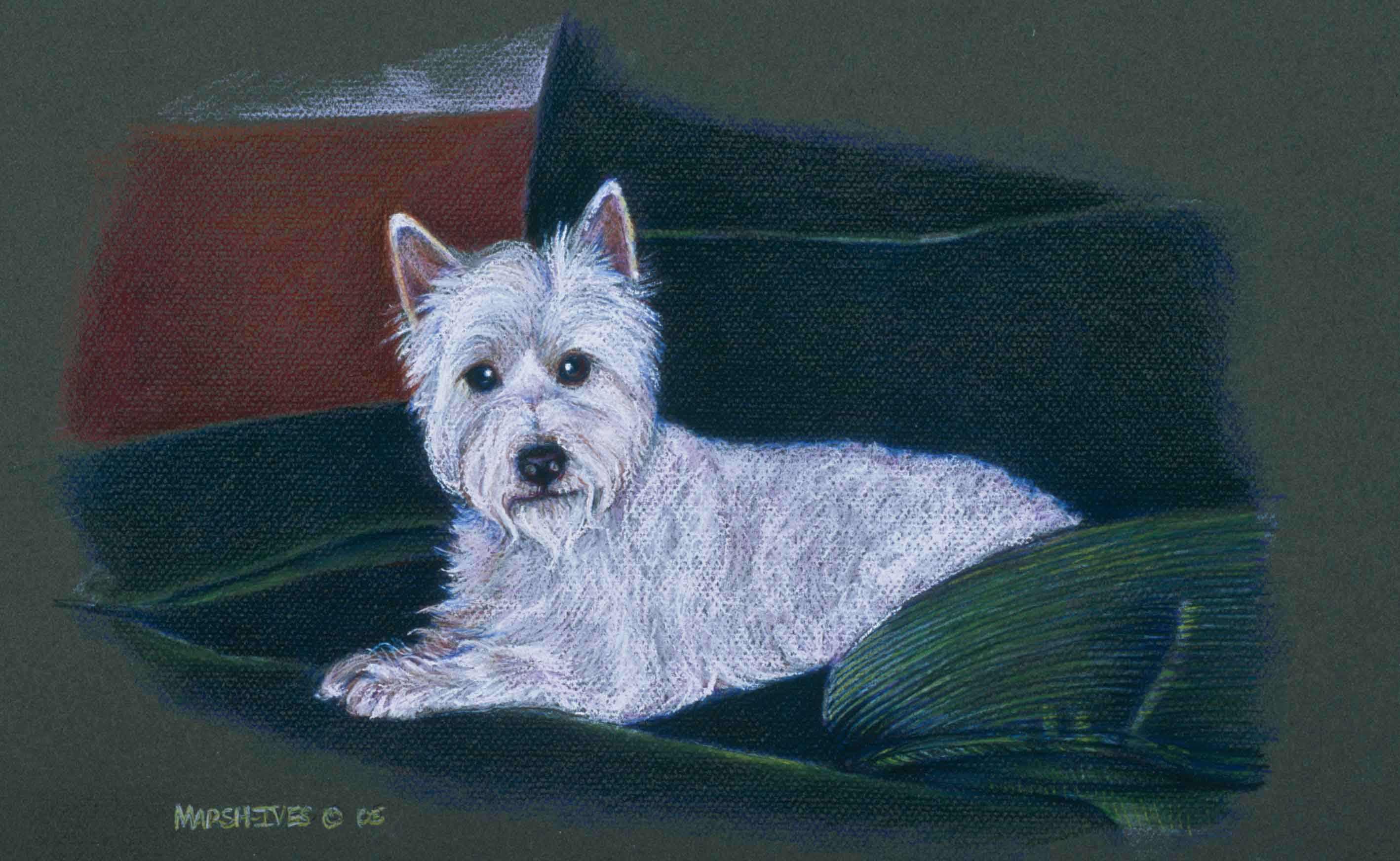Westie with Blue Pillow