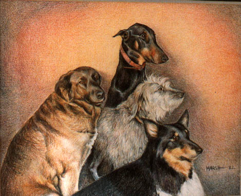 The Vet's Four Dogs