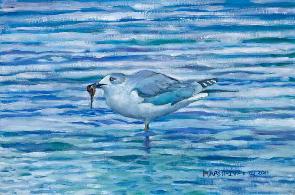 Sea Gull Study in Blue
