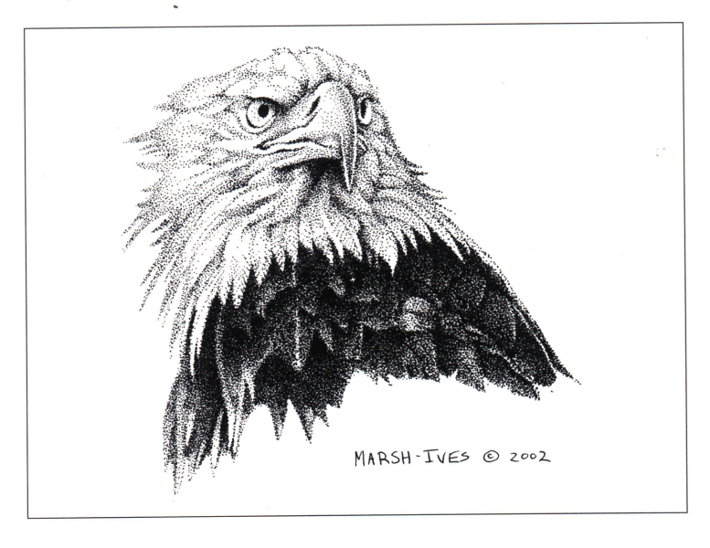 Eagle 3/4
