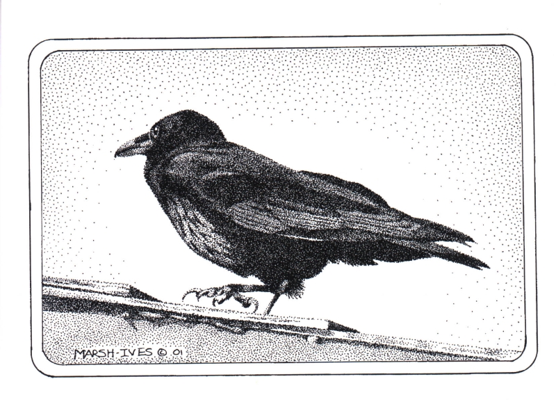 Roof Crow