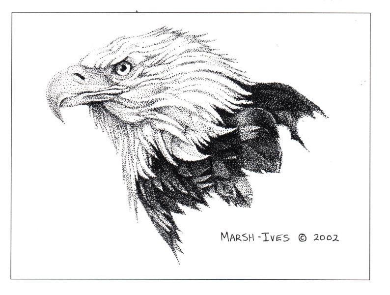 Eagle Profile